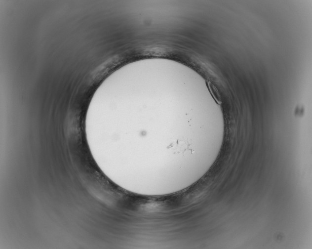 X0000091330312200709071202