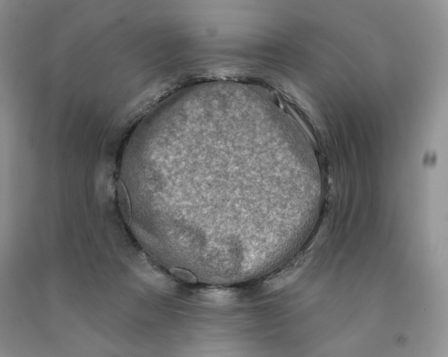 X0000091330313200709071202