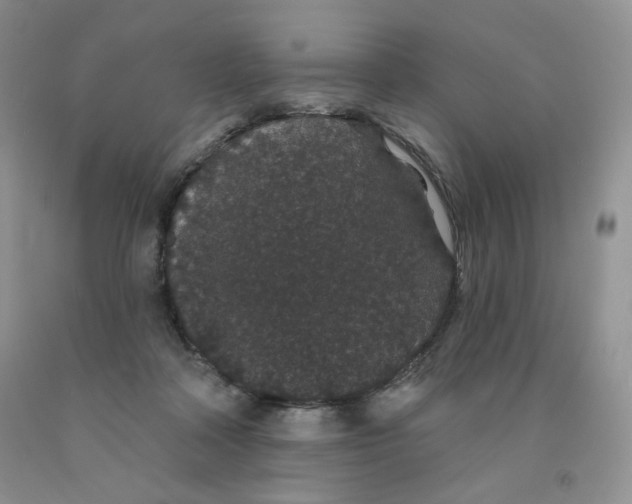 X0000091330314200709071202