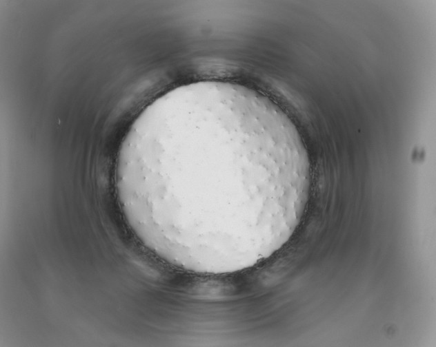 X0000091330315200709071202