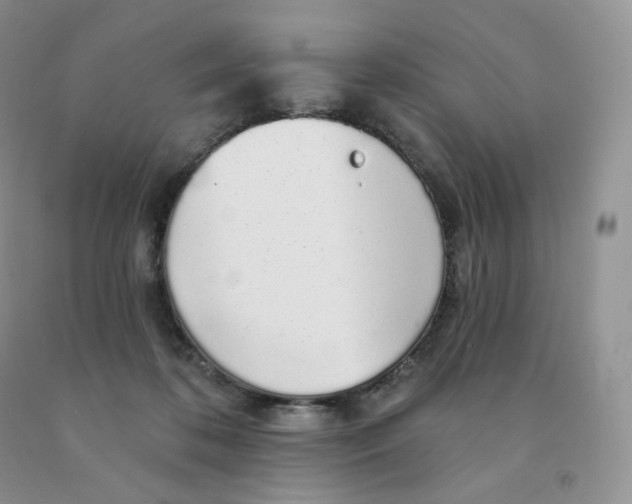 X0000091330316200709071202