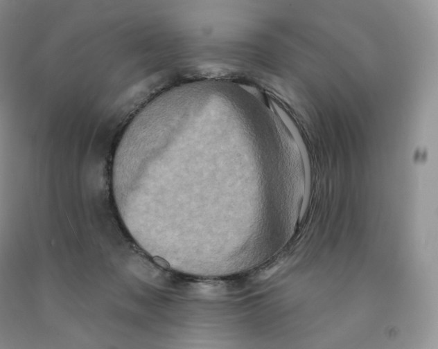 X0000091330317200709071202
