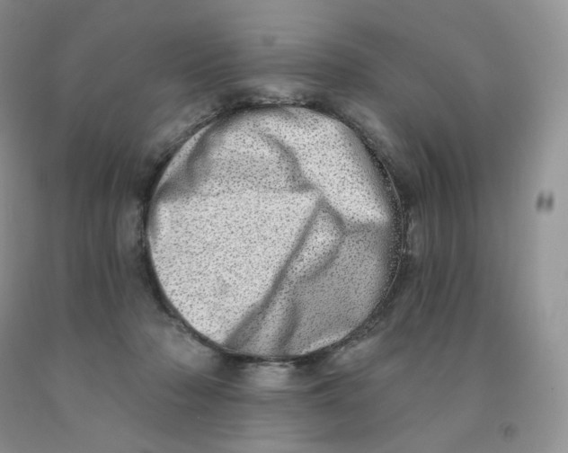 X0000091330318200709071202
