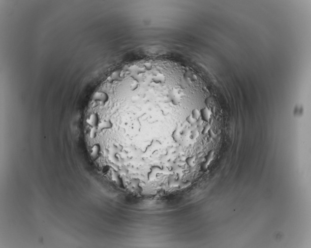 X0000091330319200709071202