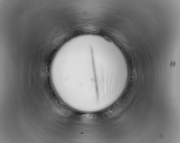 X0000091330320200709071202