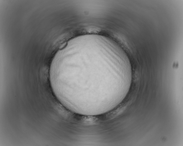 X0000091330321200709071202