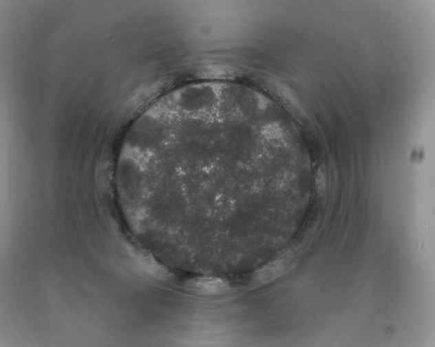 X0000091330322200709071202