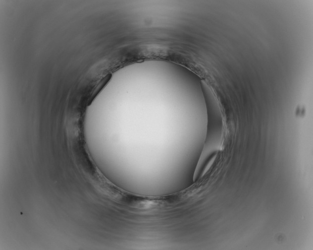 X0000091330323200709071202