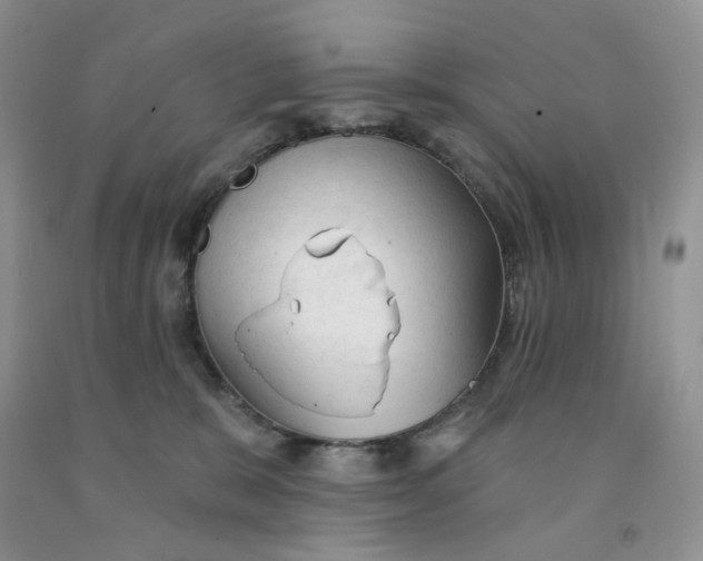 X0000091330327200709071202