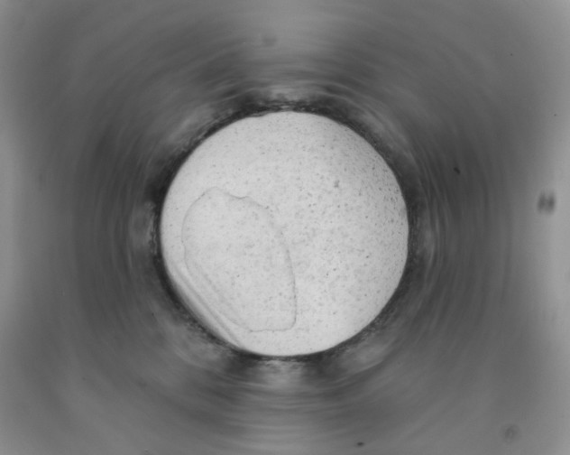 X0000091330328200709071202