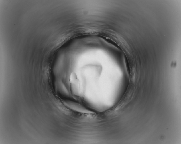 X0000091330329200709071202