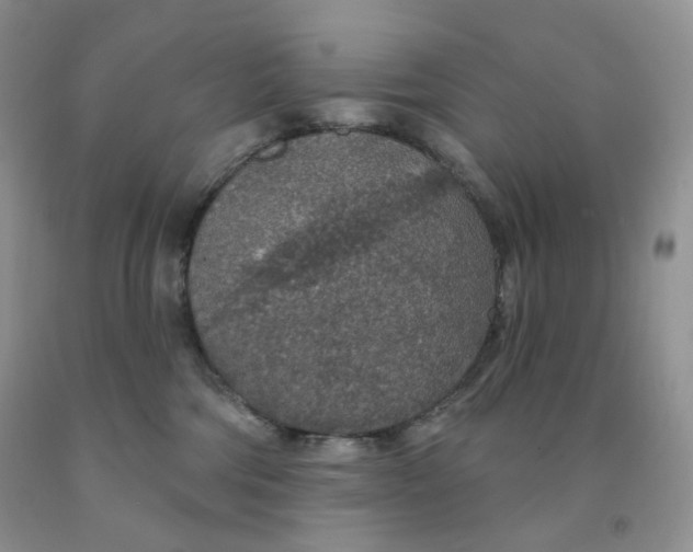 X0000091330330200709071202