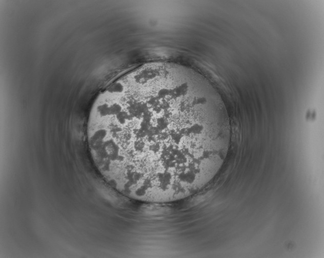X0000091330331200709071202