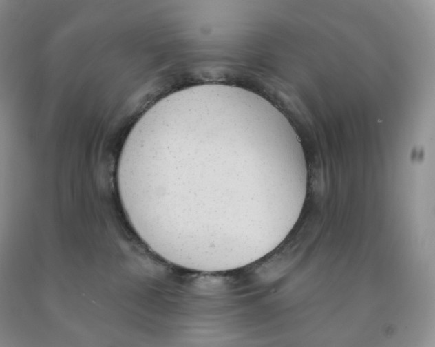 X0000091330332200709071202