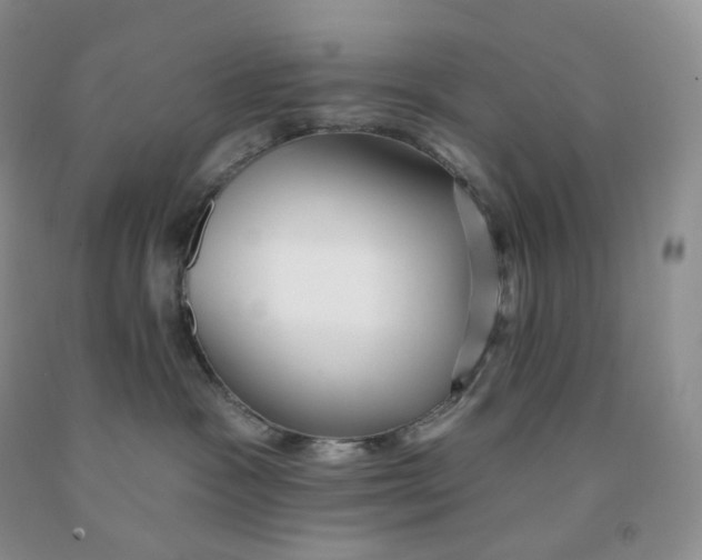 X0000091330333200709071202