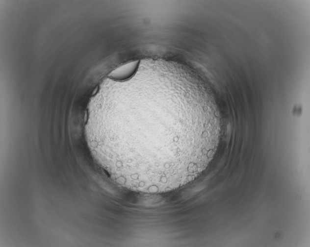 X0000091330334200709071202