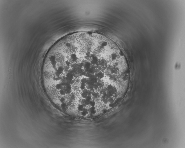X0000091330337200709071201
