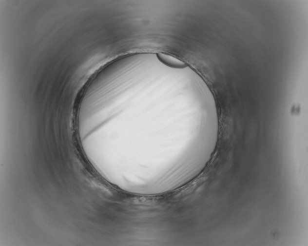 X0000091330338200709071201