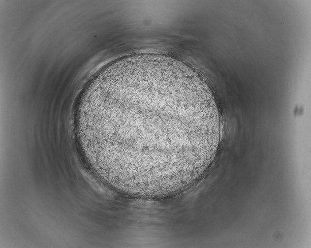 X0000091330339200709071201