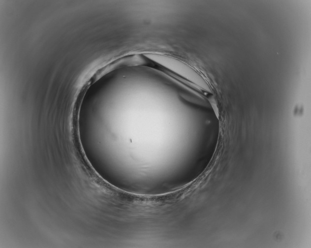 X0000091330340200709071201