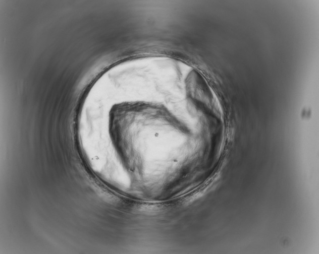 X0000091330341200709071201