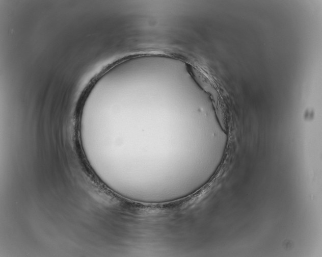 X0000091330342200709071201