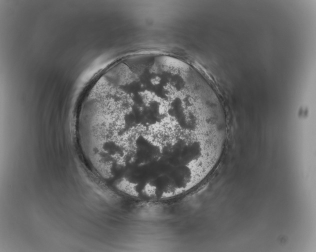 X0000091330343200709071201