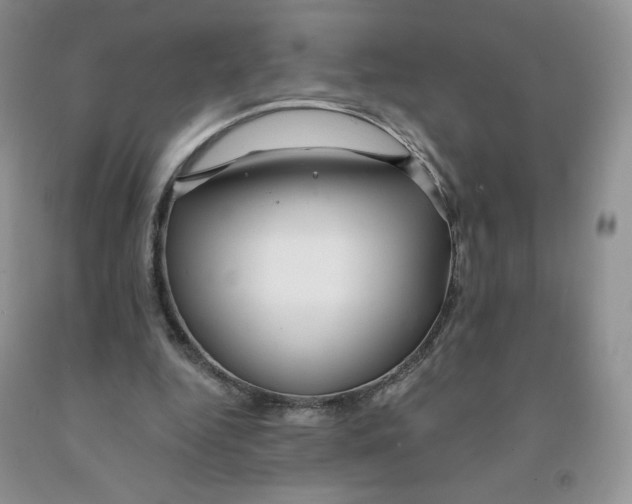 X0000091330344200709071201