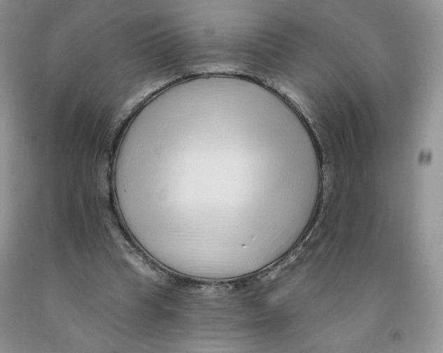 X0000091330345200709071201
