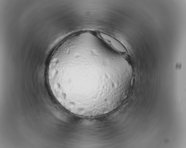 X0000091330346200709071201