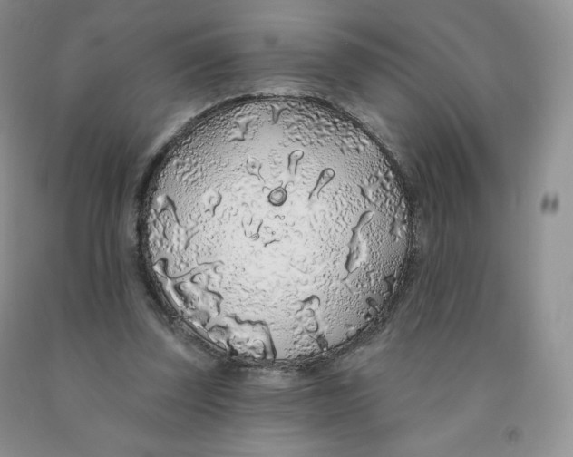 X0000091330347200709071202