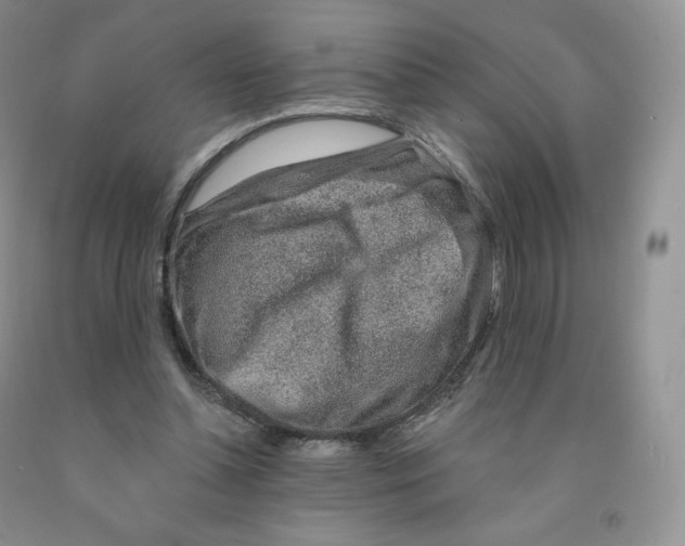 X0000091330348200709071202