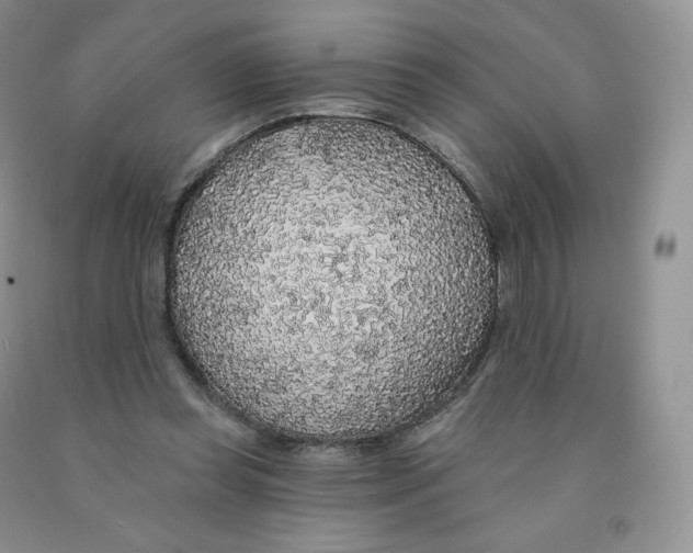X0000091330349200709071202