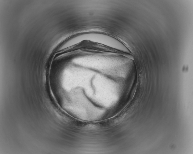 X0000091330350200709071202