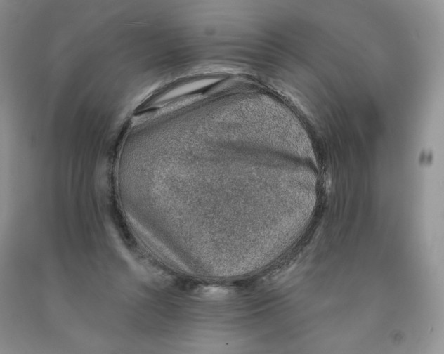 X0000091330352200709071202