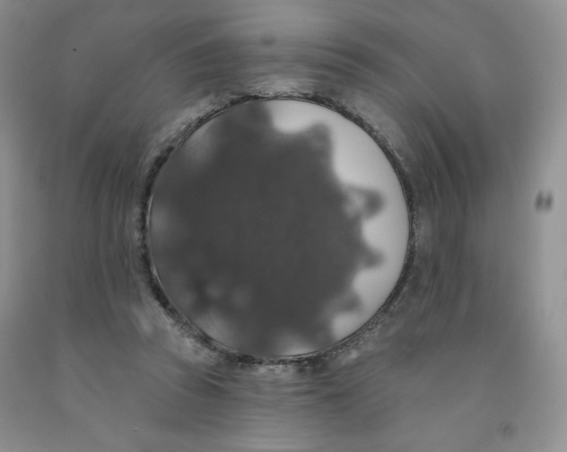 X0000091330353200709071202