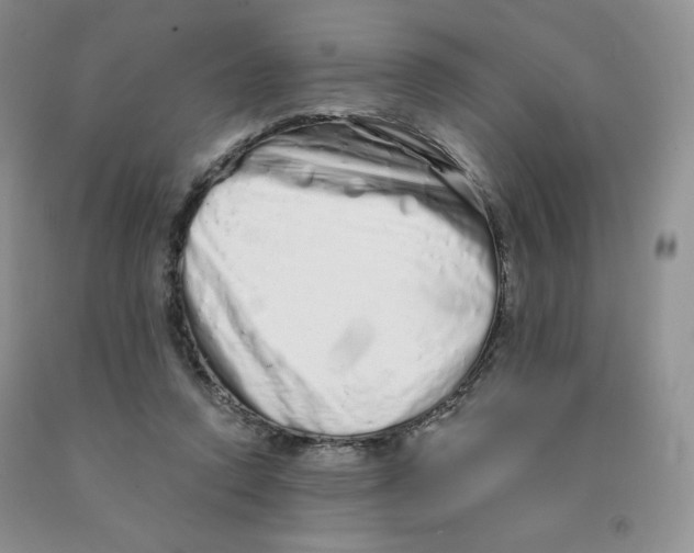 X0000091330354200709071202