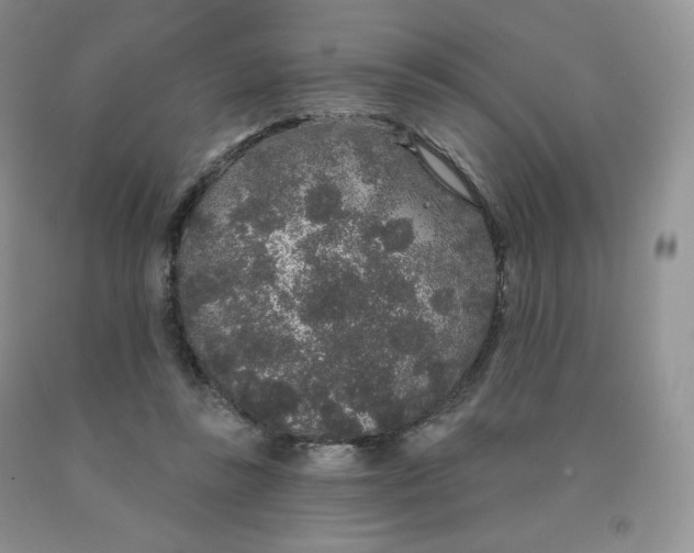X0000091330355200709071202