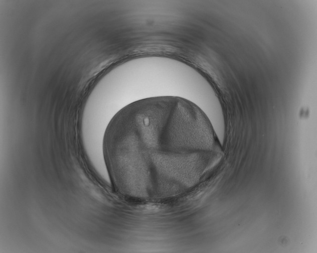 X0000091330356200709071202