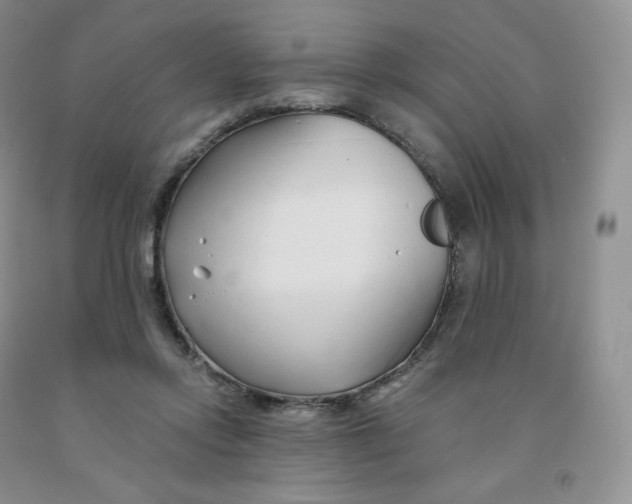 X0000091330358200709071202