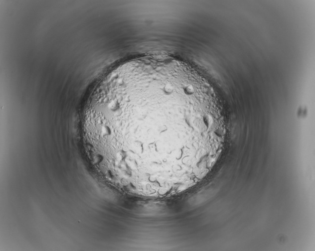 X0000091330359200709071202