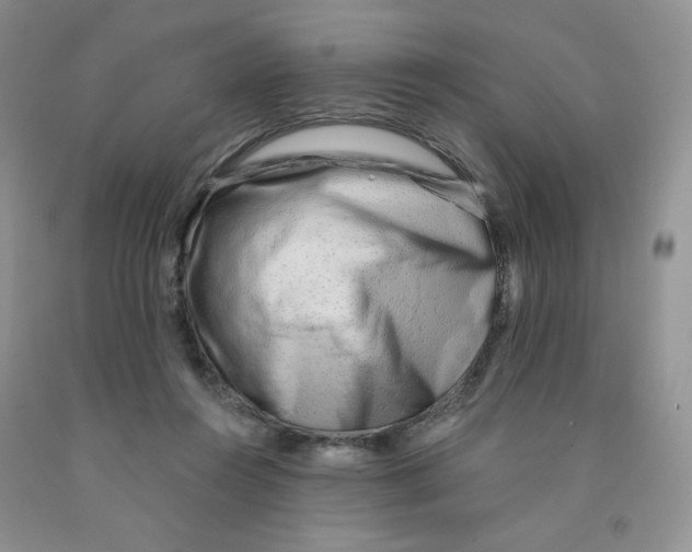 X0000091330360200709071202