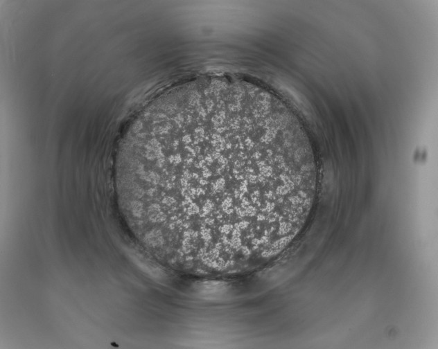 X0000091330361200709071202