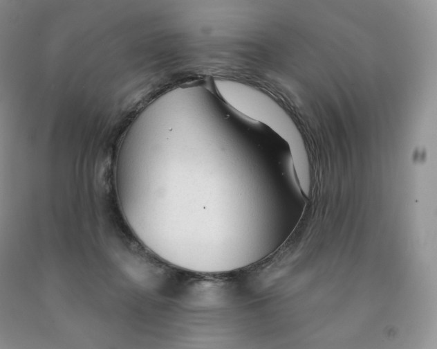 X0000091330364200709071202