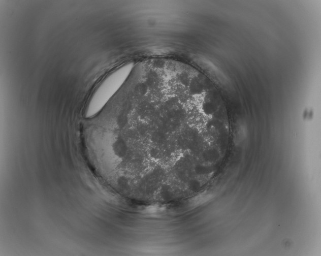 X0000091330366200709071202