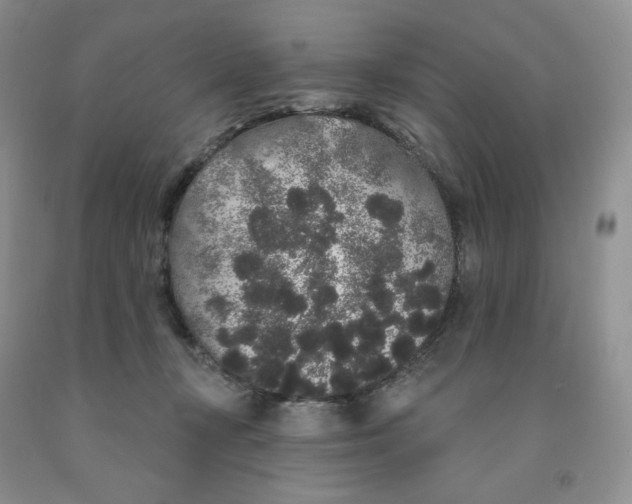 X0000091330367200709071202