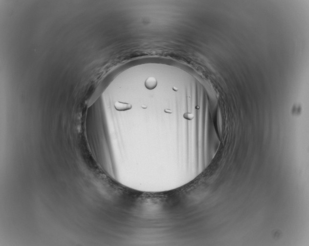 X0000091330368200709071202
