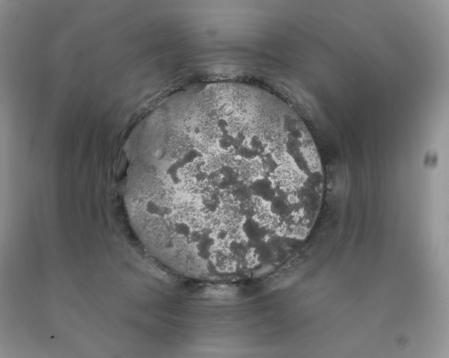 X0000091330369200709071202