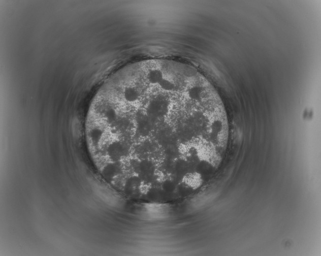 X0000091330371200709071202