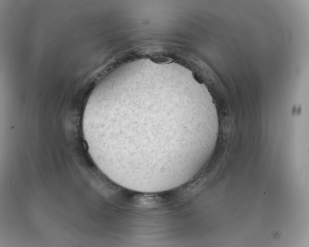 X0000091330372200709071202
